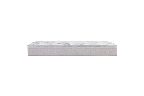 Beautyrest Beauty Sleep 9 Inch Firm Foam Mattress Queen