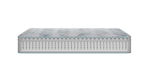 Beautyrest Beauty Sleep 9 Inch Firm Foam Mattress Queen