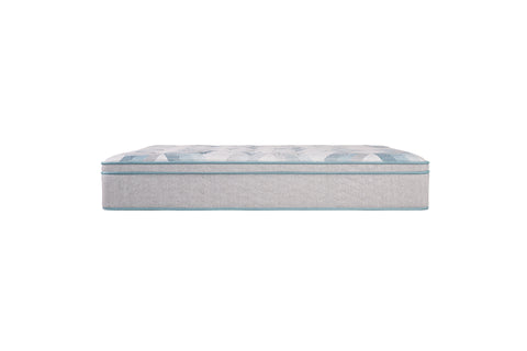 Beautyrest Beauty Sleep 9 Inch Firm Foam Mattress Queen